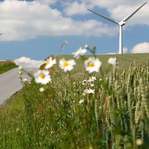 Flådeanalyser til 14 SMV'ers vognpark i Region Hovedstaden